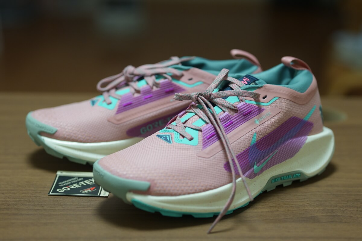 ナイキ ペガサストレイル5 レビュー GORE-TEX - まつきよカフェ