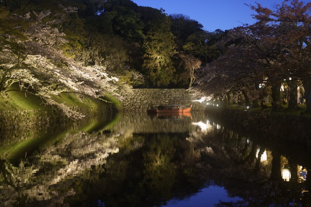 彦根城いろは松・桜夜景リフレクション、写真スポット/行き方/駐車場  