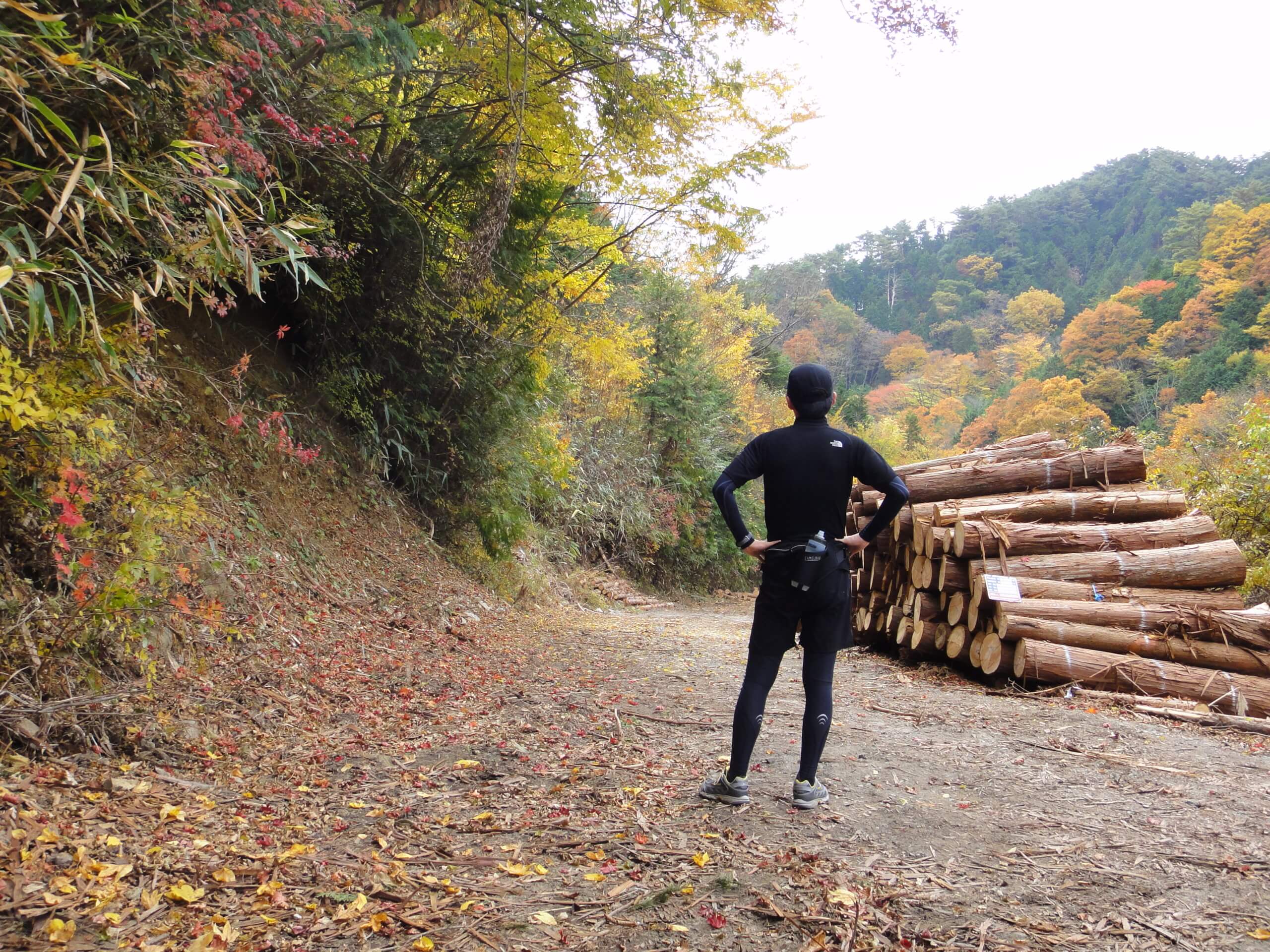 新婚さん、いらっしゃい！高級木製家具３点セット 引き取り限定！ 新婚さん、いらっしゃい！高級木製家具３点セット 引き取り限定