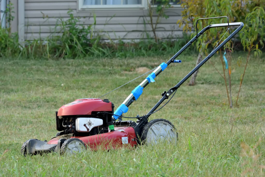 アメリカ製芝刈り機短期間使用の方におすすめ 芝のタネを植えます 