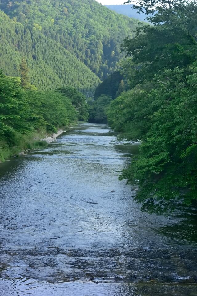 京都一周トレイル_北山コース14.jpg