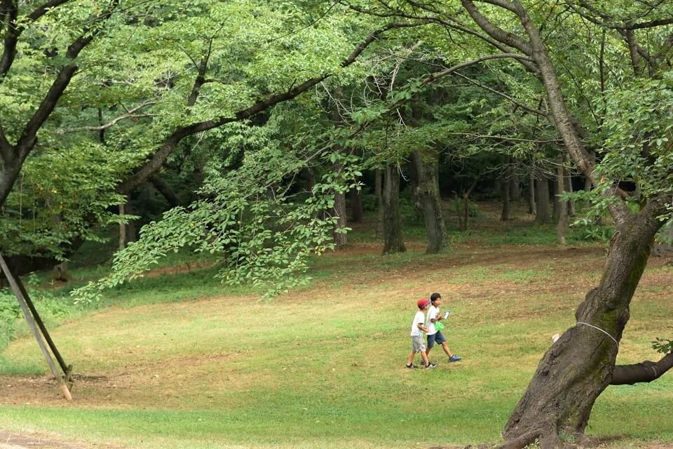 稲荷山公園　ランニング3.jpg