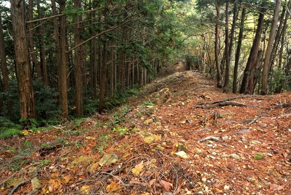 愛知県民の森トレイルランコース５.jpg