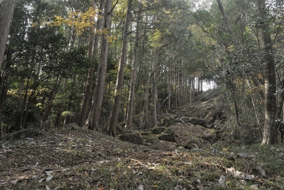 愛知県民の森トレイルランコース８.jpg