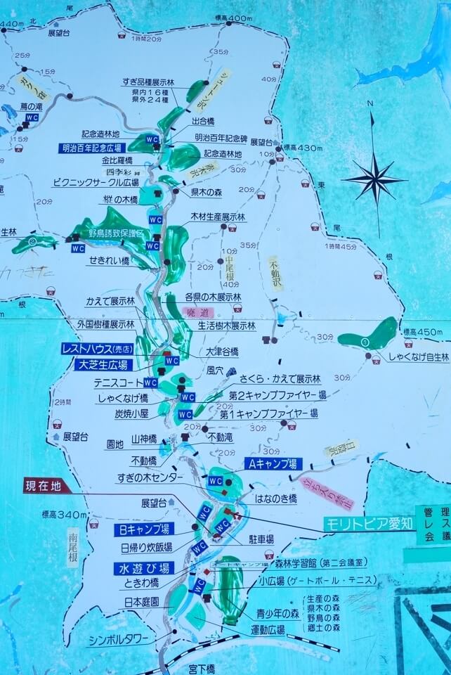 愛知県民の森トレイルランコース１６.jpg