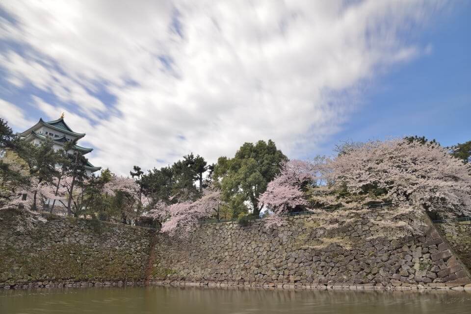 名古屋城_桜画像1.jpg