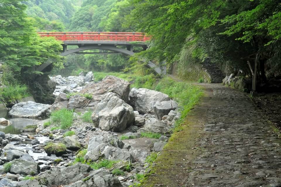 京都一周トレイル_西山コース16.jpg