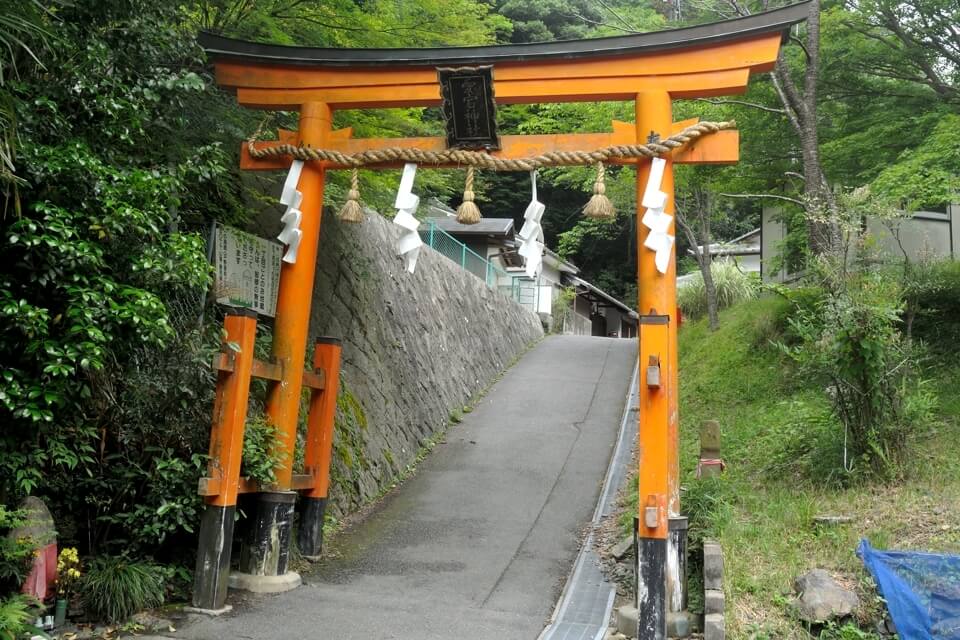 京都一周トレイル_西山コース17.jpg