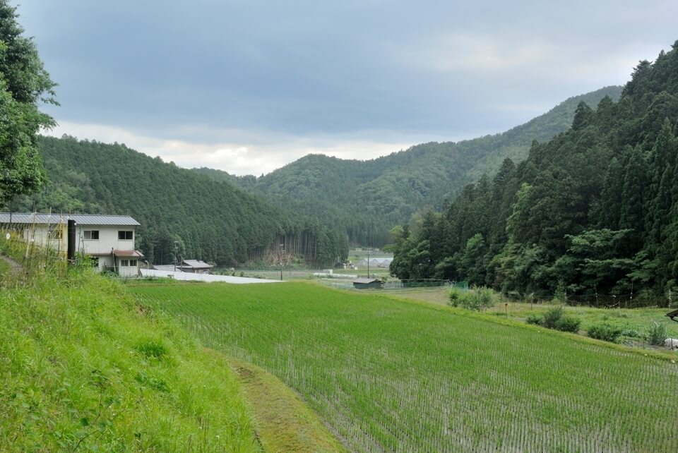 京都一周トレイル_西山コース38.jpg