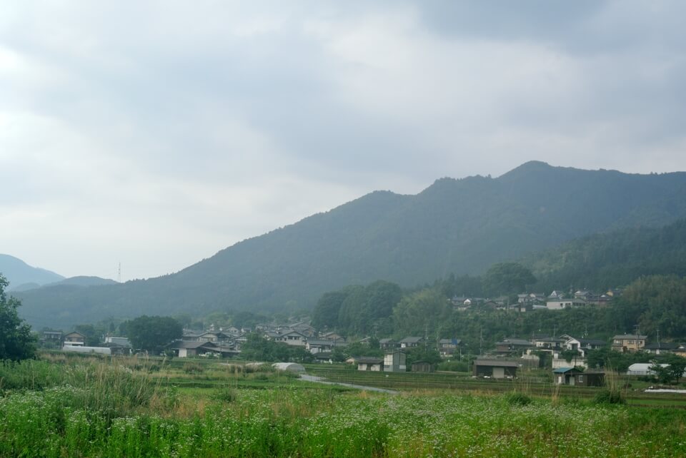 京都一周トレイル_西山コース41.jpg