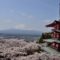 新倉山浅間公園・忠霊塔、富士山と桜の写真