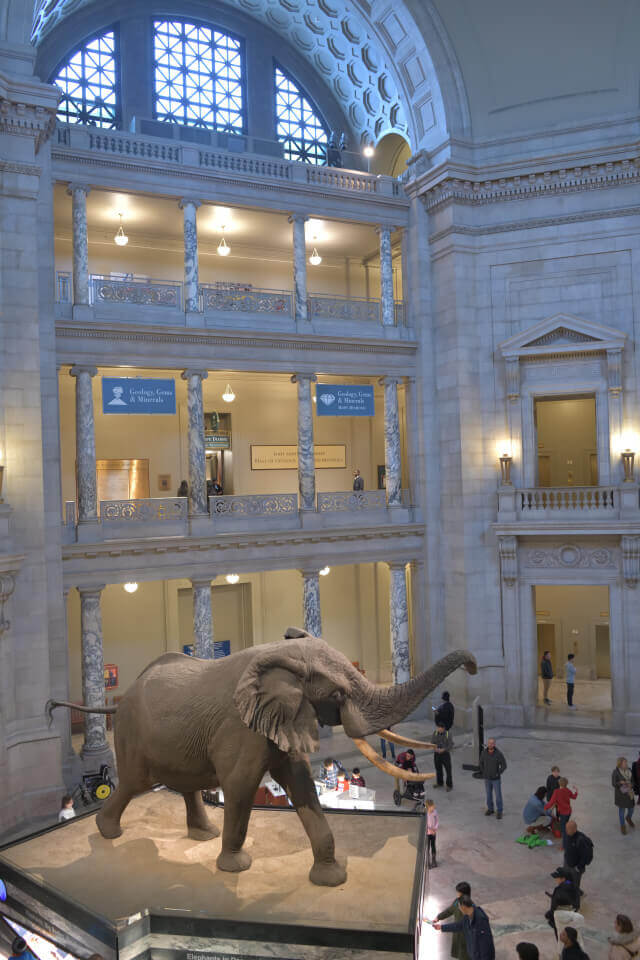 アメリカ国立自然史博物館の写真