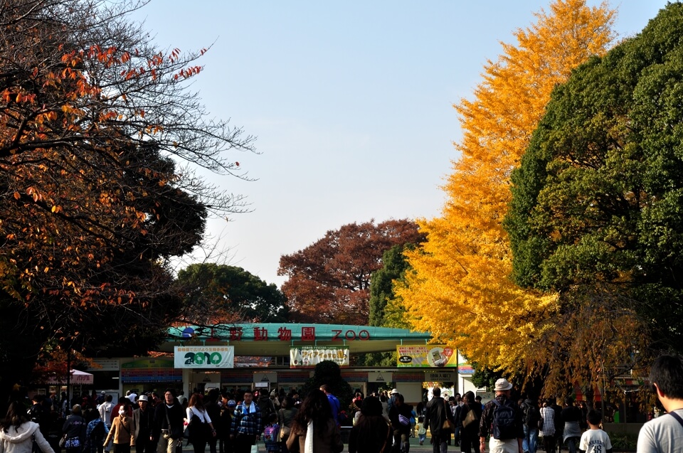 上野公園・東京国立博物館の写真