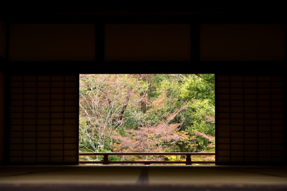 天龍寺の桜写真