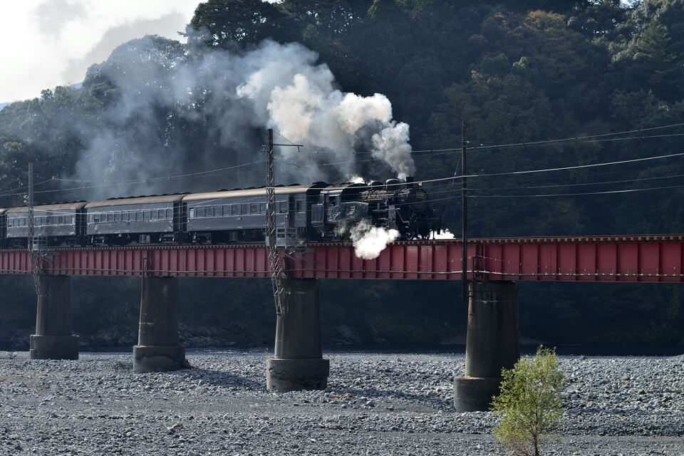 奥大井湖上駅・大井川鉄道の写真