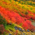 涸沢カール紅葉写真