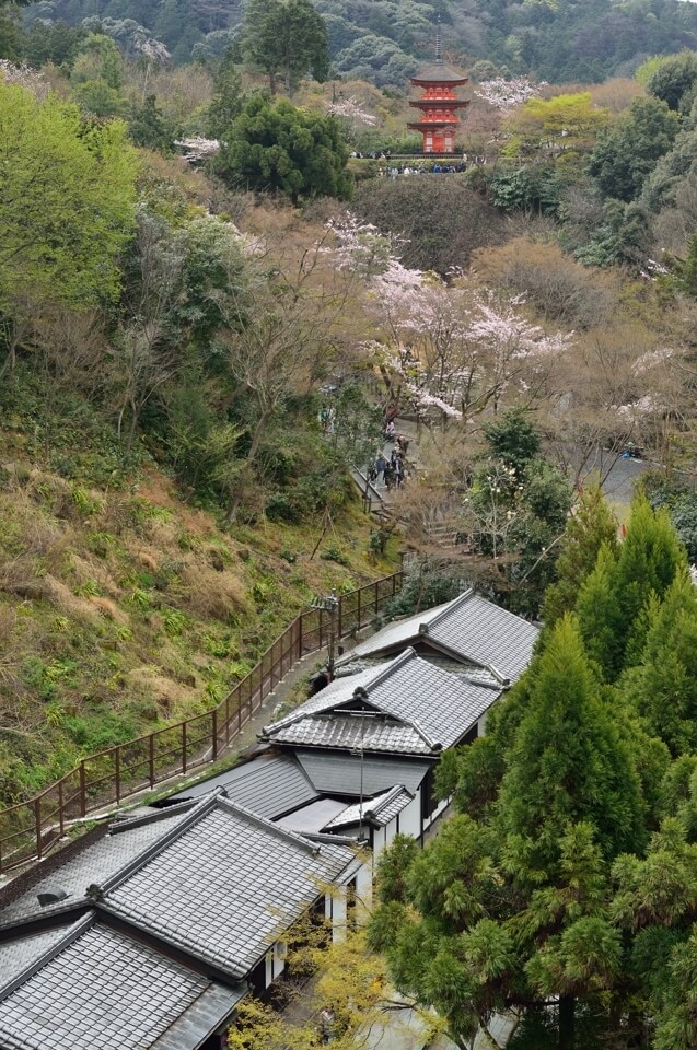 清水寺の桜名所写真