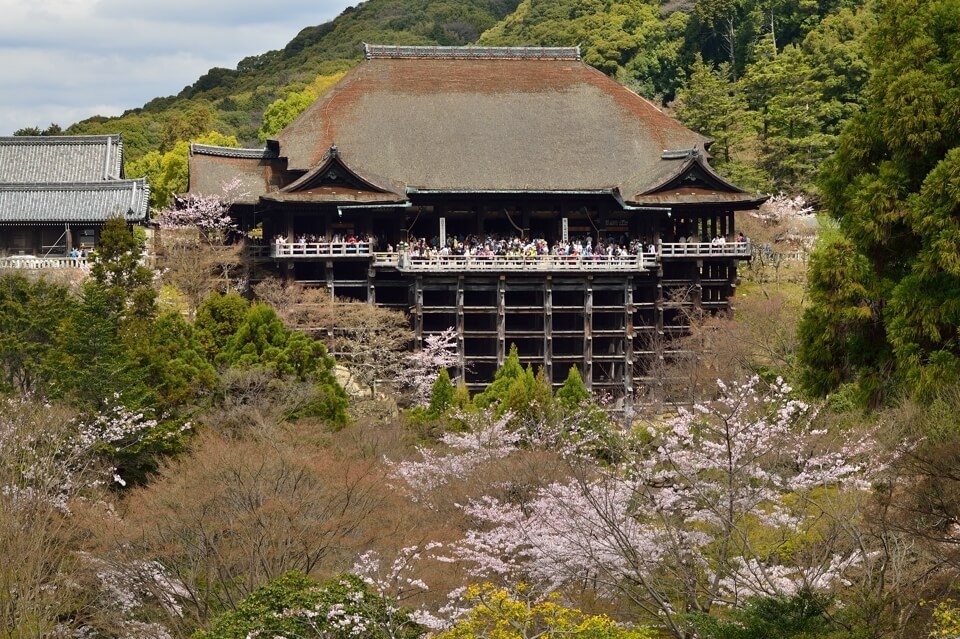 清水寺の桜名所写真
