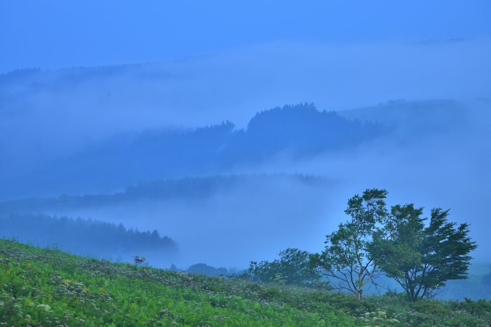 霧が峰高原の写真
