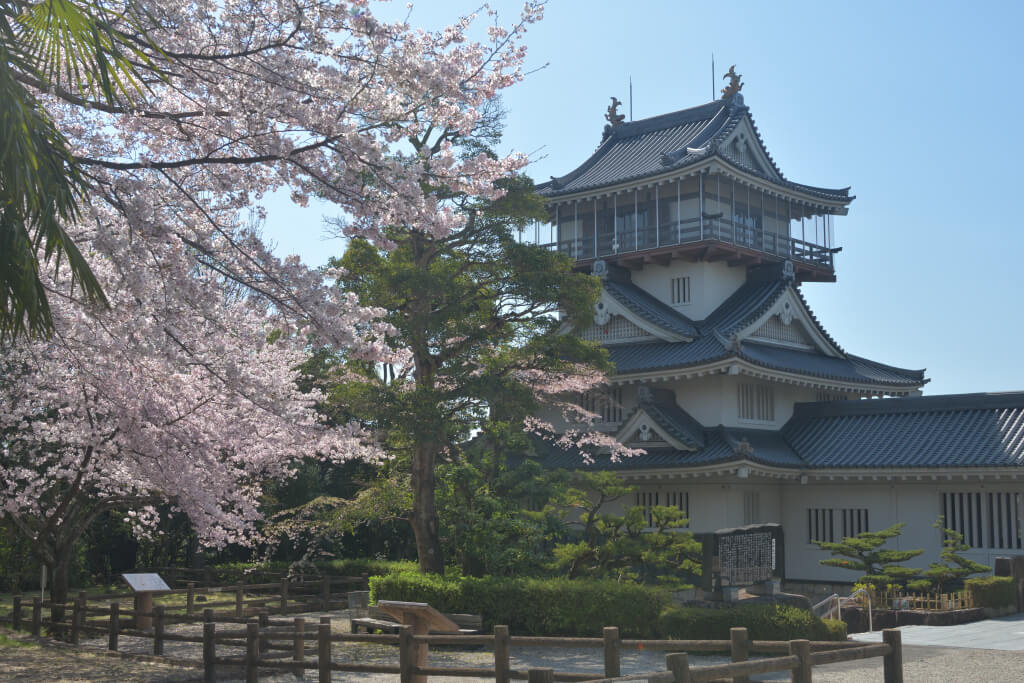 岩崎城の桜写真
