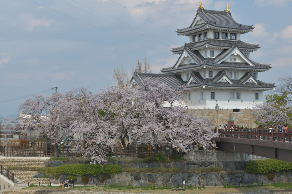 墨俣一夜城の桜写真