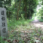 道根往還の写真画像