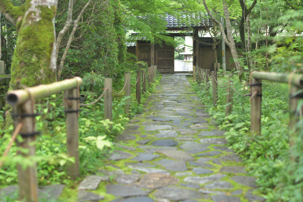 蓮華寺青もみじ写真京都