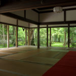 蓮華寺青もみじ写真京都