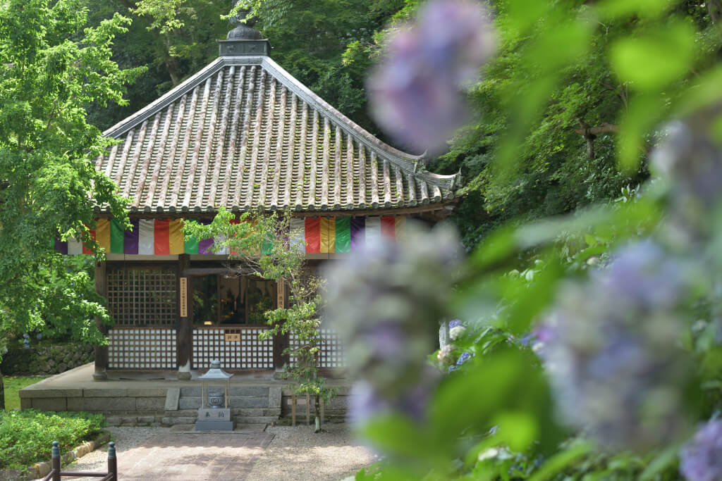 奈良長谷寺の写真