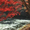 タカドヤ湿原の紅葉写真