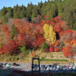 大井平公園の紅葉写真