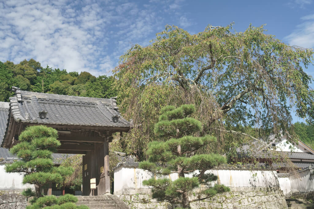 松平郷高月院の写真