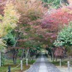 鹿王院の紅葉写真
