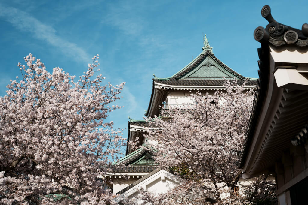 和歌山城桜写真