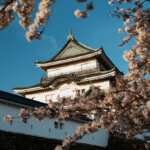和歌山城桜写真