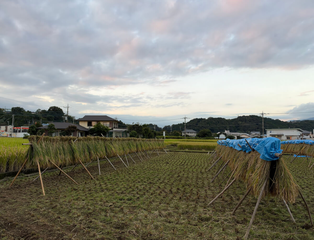 裾野市田舎ランニング画像