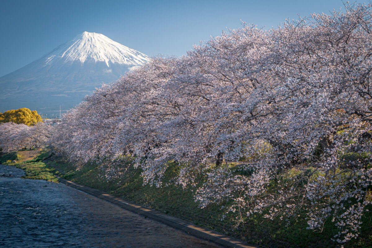 SEL40F25Gとα7CII小型軽量レンズカメラ