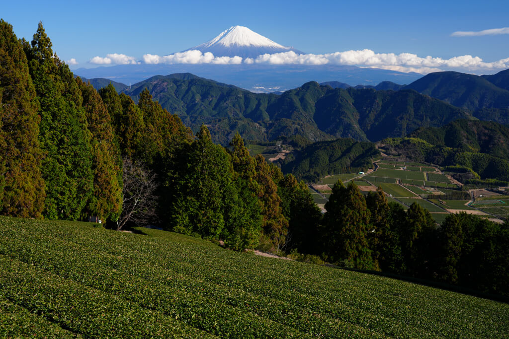 α7V試し撮り作例写真