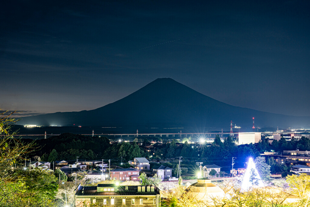 ありがた山の夜景富士山