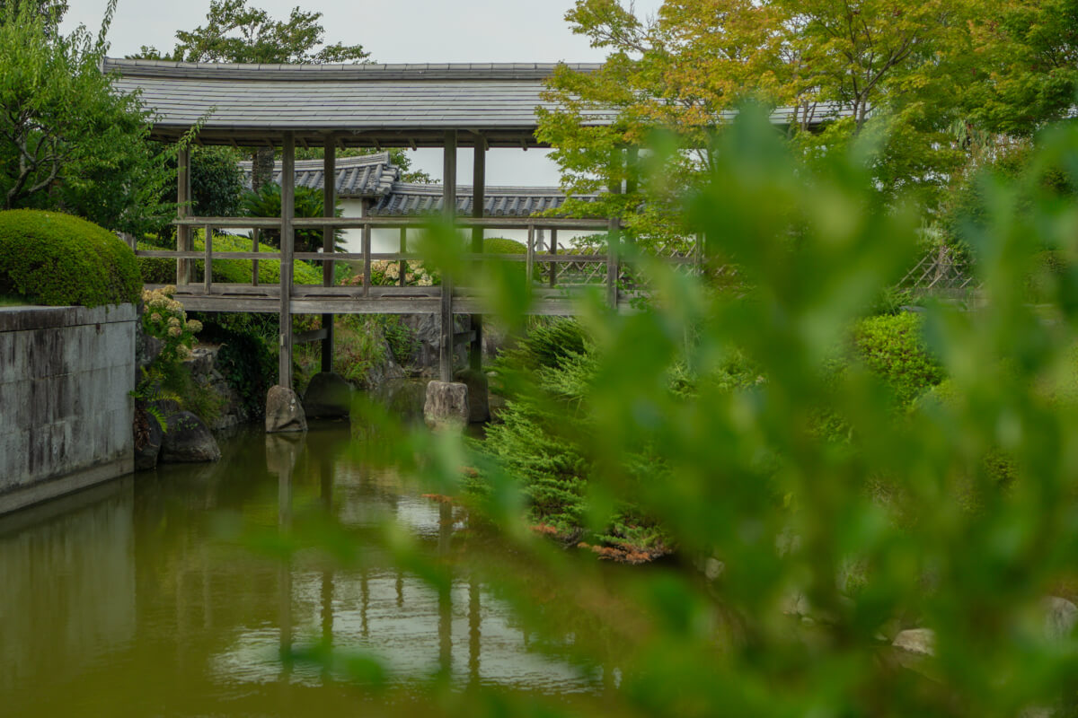 ふじのくに茶の都ミュージアム観光写真撮影