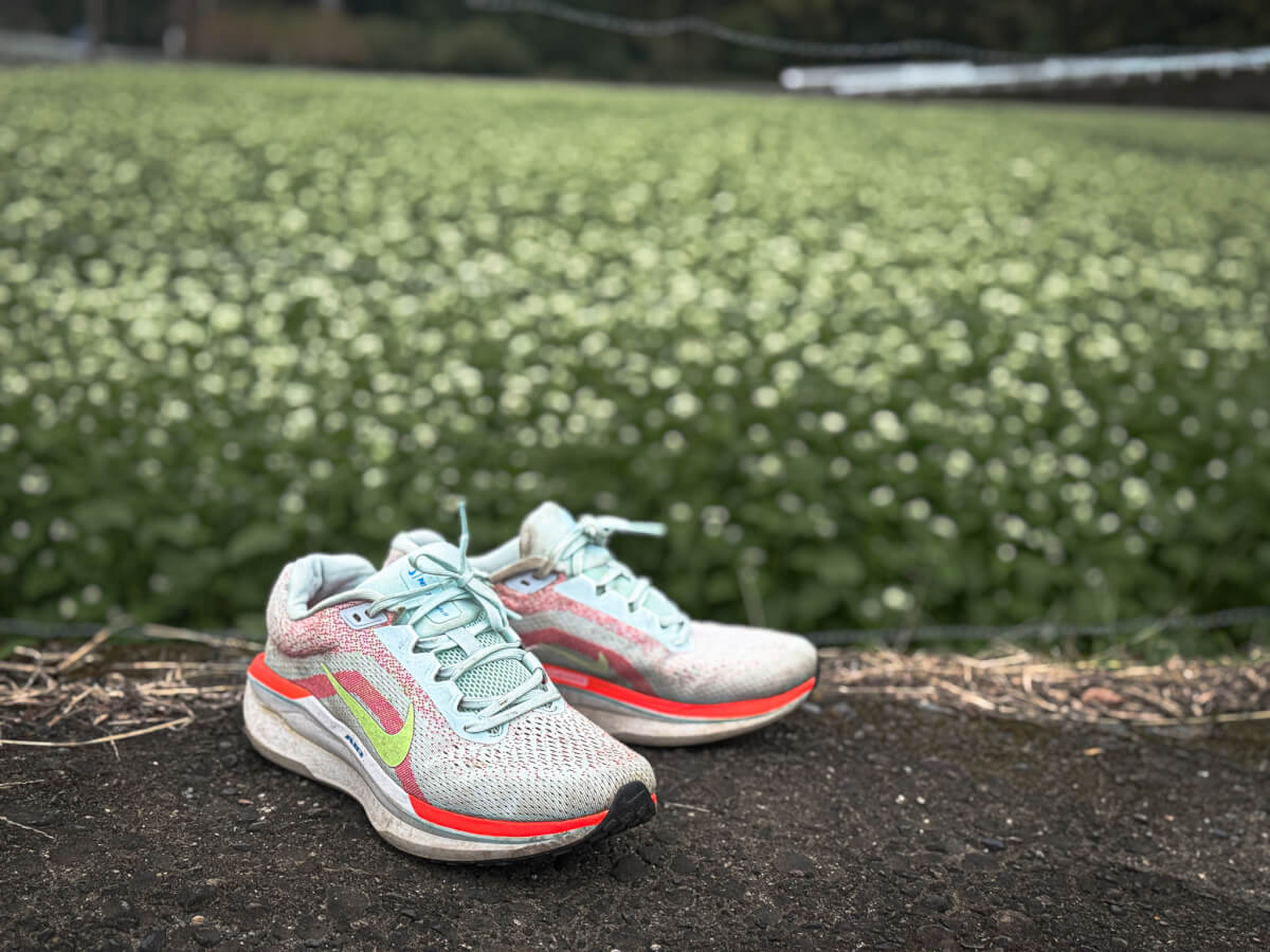 ウィンフロー11レビューNIKE