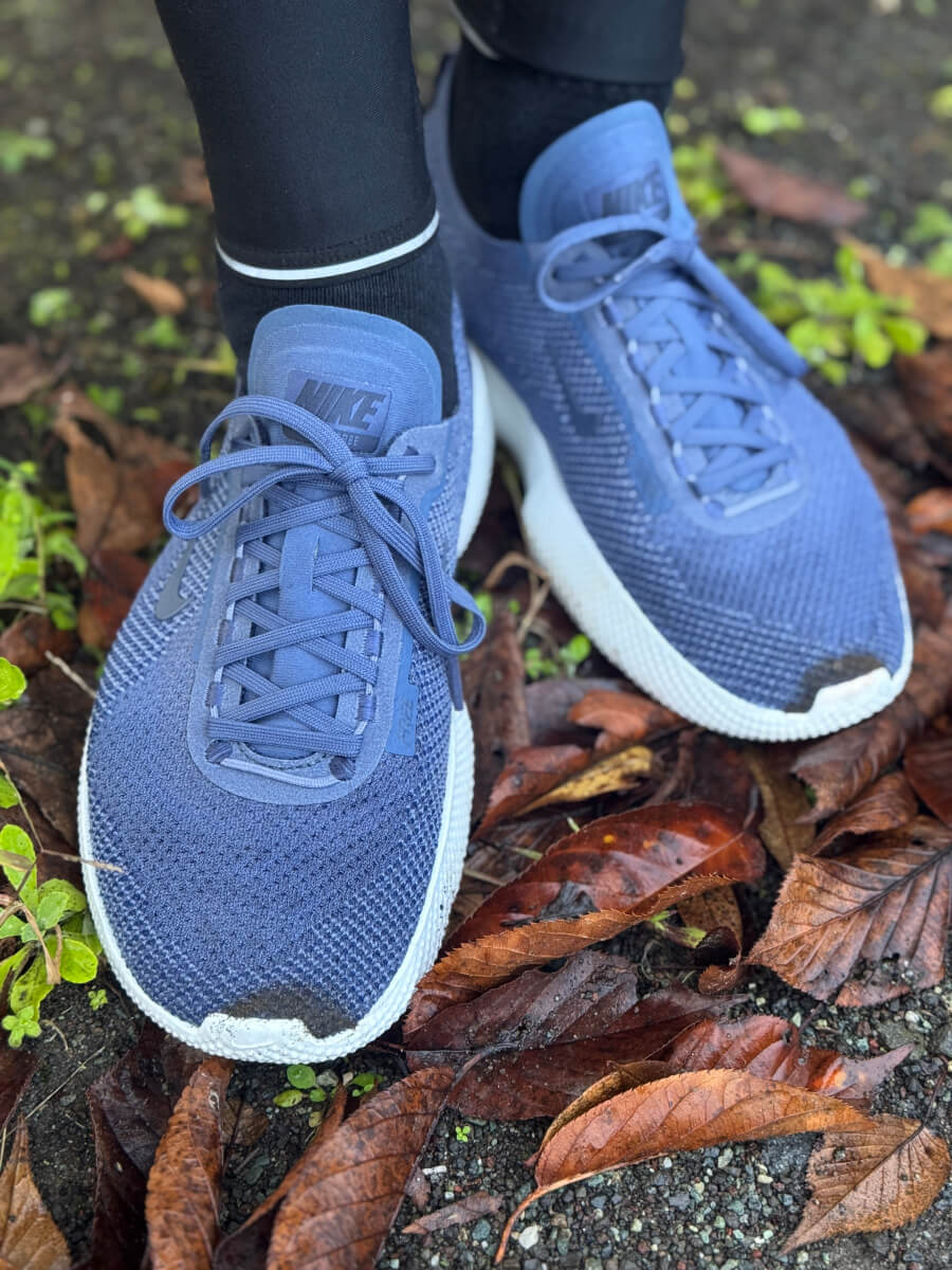 ナイキフリー2025感想