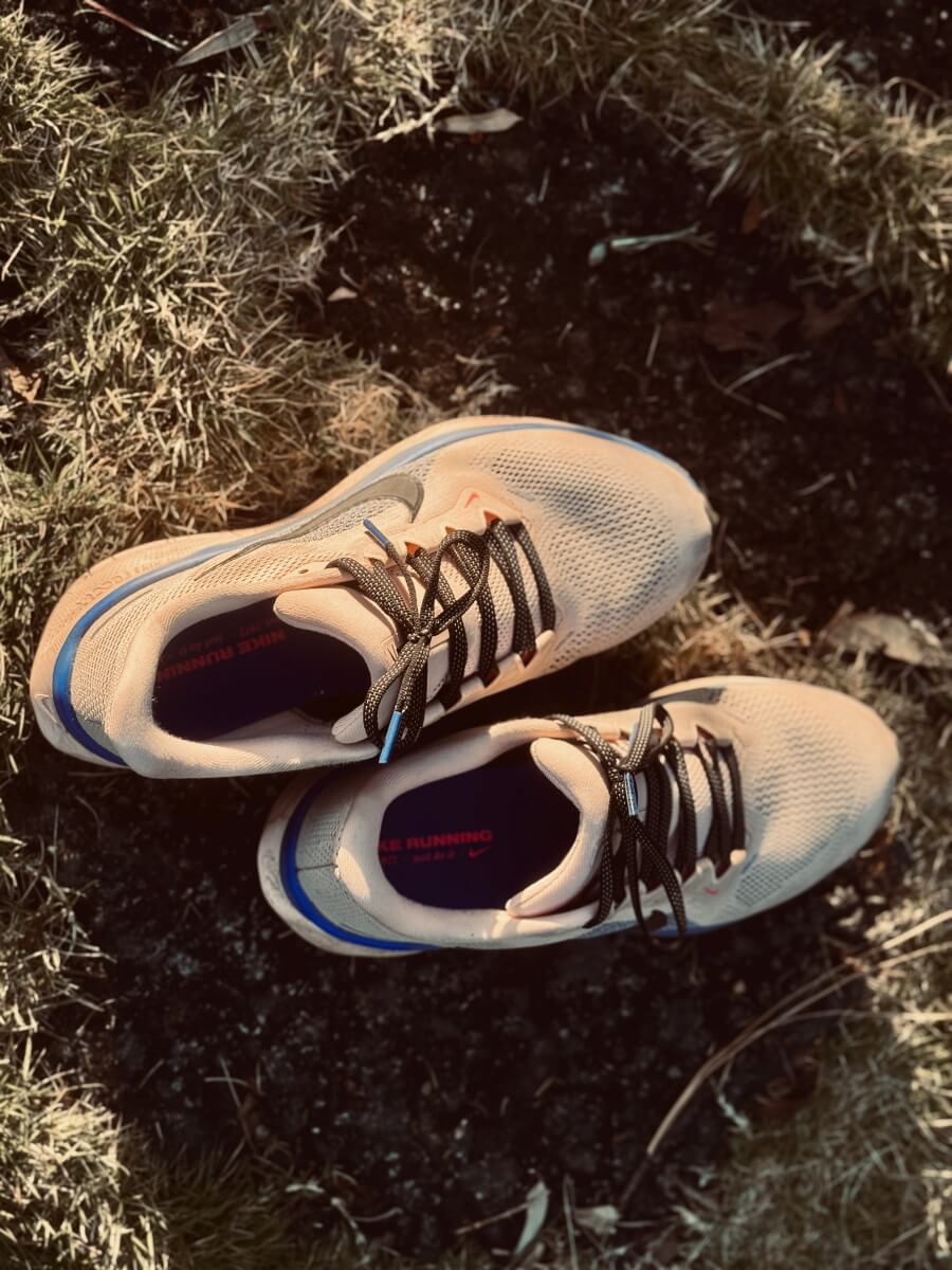 ナイキペガサス41レビュー