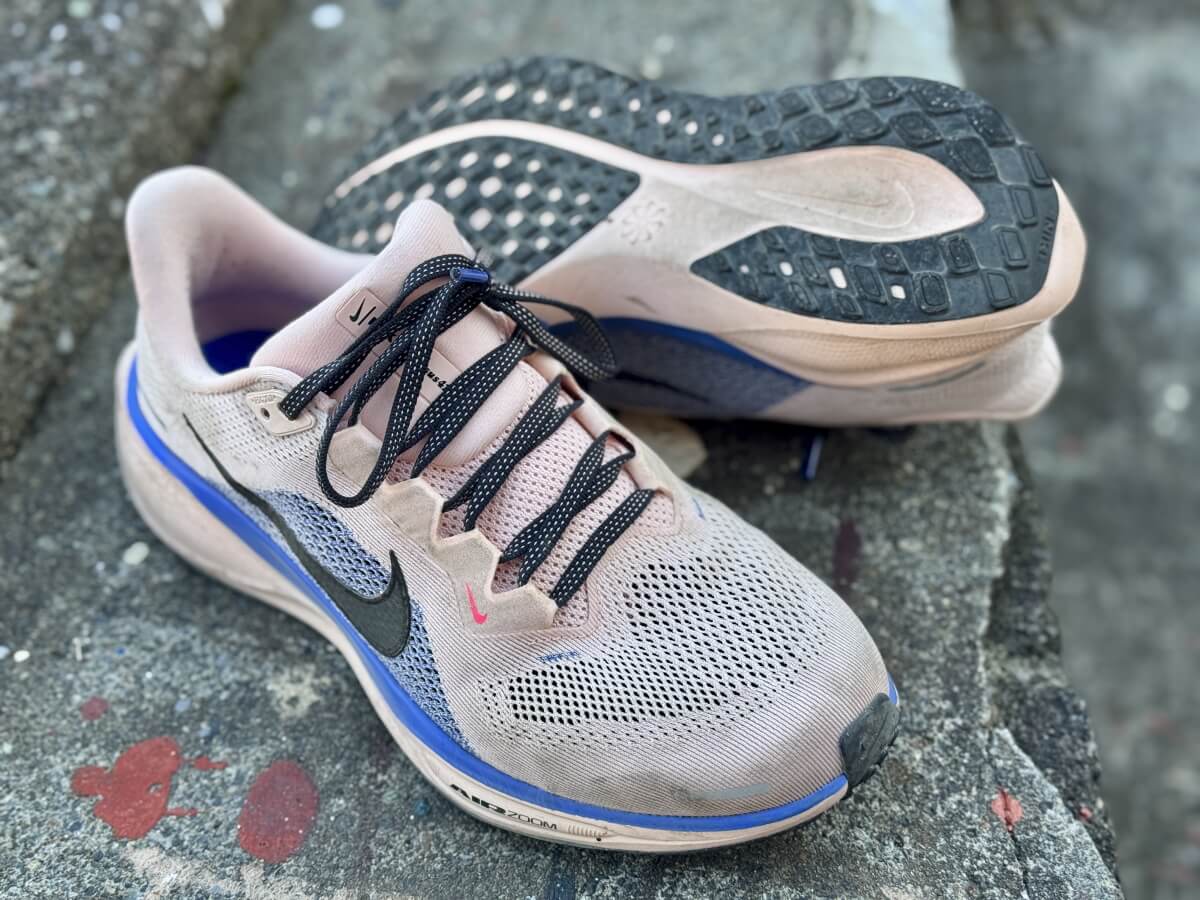 ナイキペガサス41レビュー