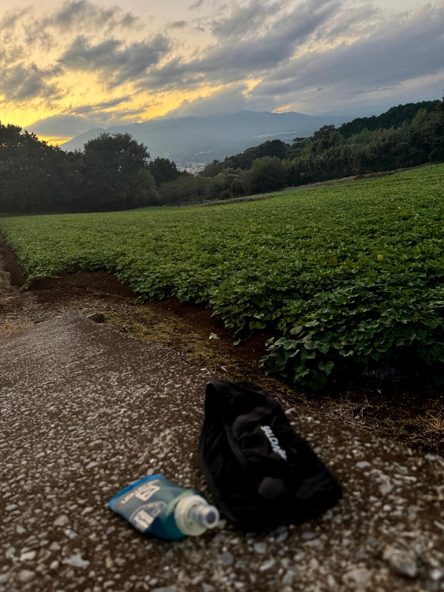 パルスベルトレビュー走った感想