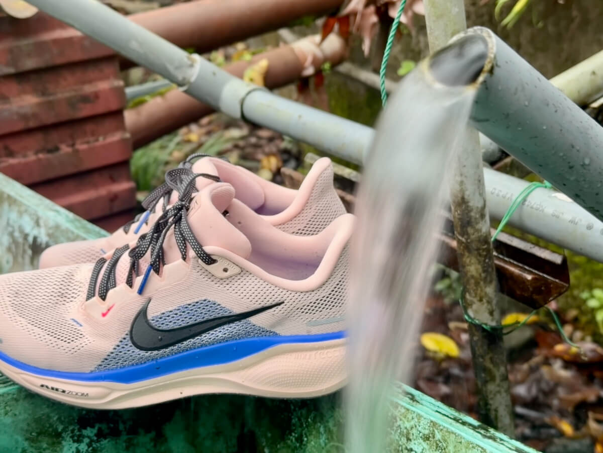 ペガサスエアー41レビュー