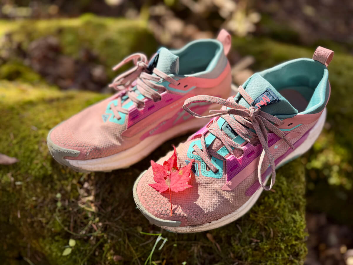 ペガサストレイル5 GORE-TEX