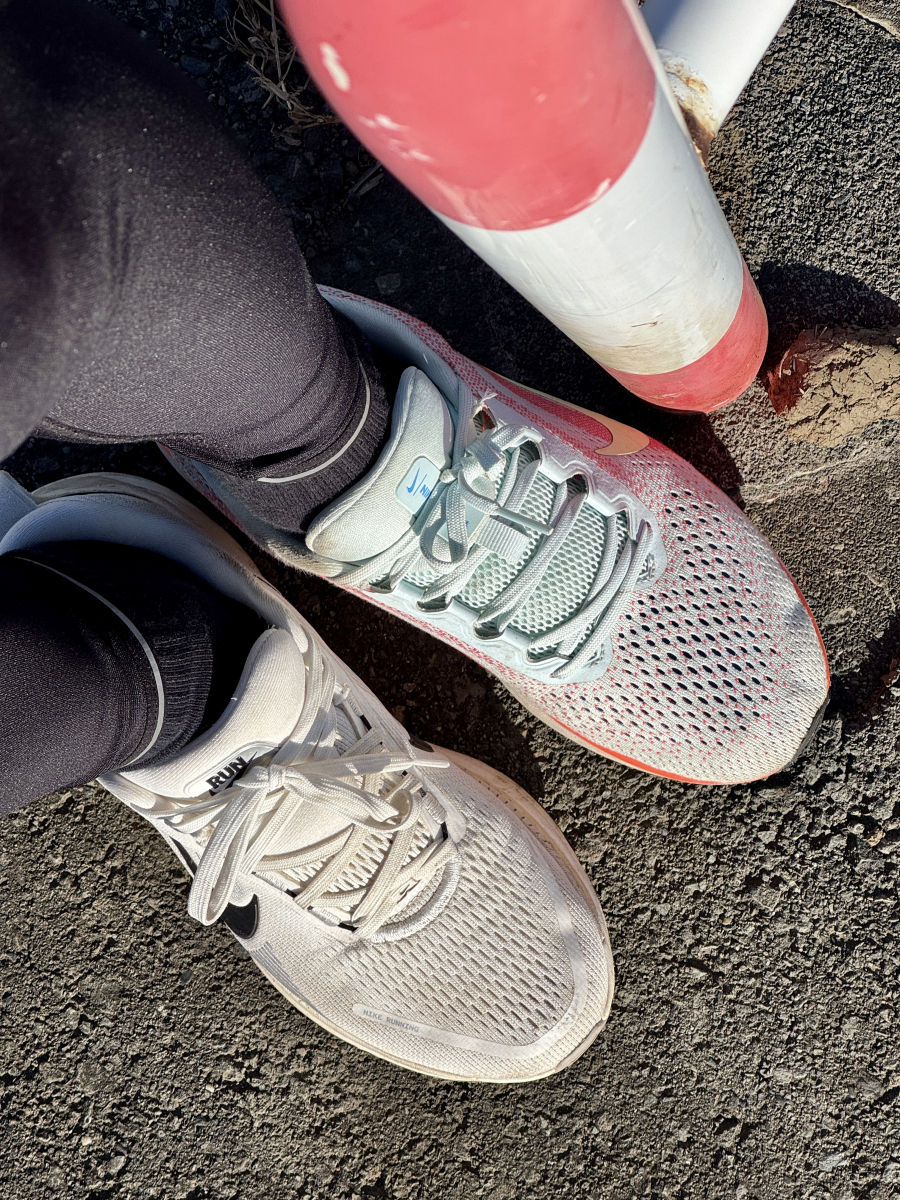 ボメロウィンフローの違い比較