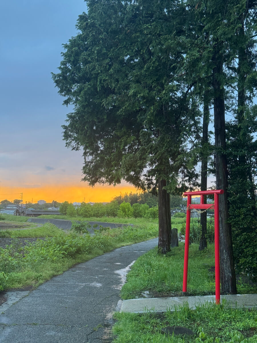 ランニング裾野市田舎