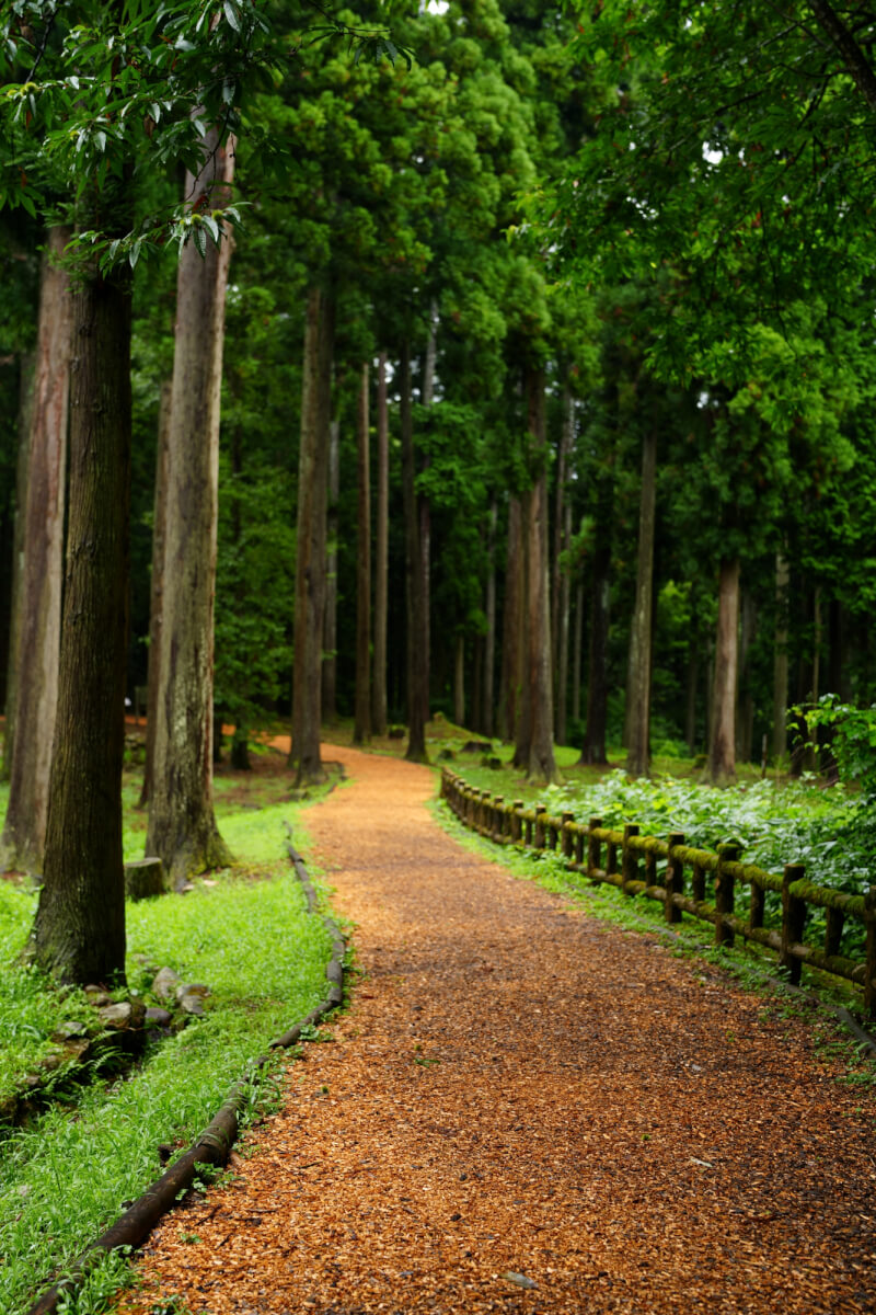 七尾城の写真撮影スポット